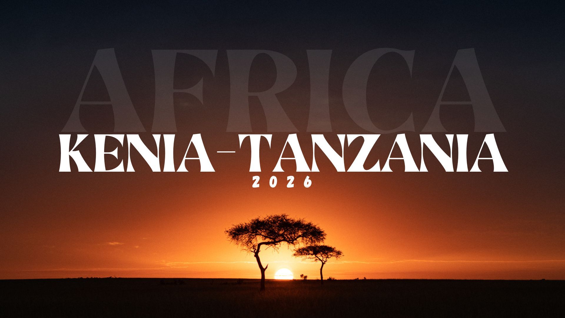  Wladimir Olguin Illustration 